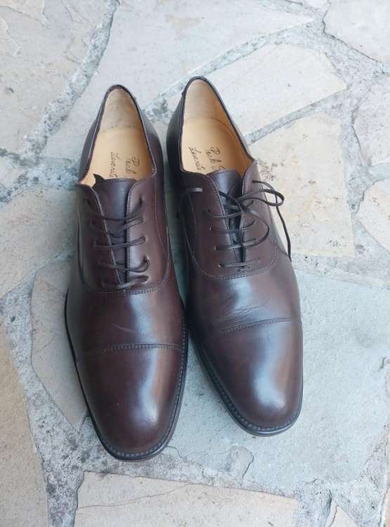 Braon muške cipele Paolo Scafora